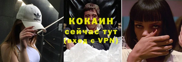 индика Алексеевка
