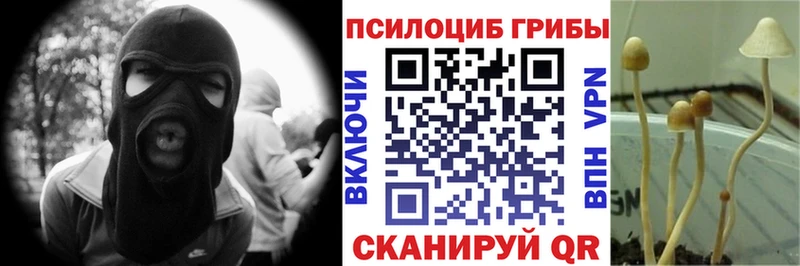 Галлюциногенные грибы мицелий Собинка
